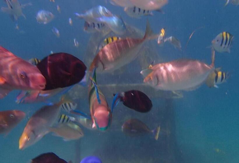 Отель Silver Fern Beach Retreat