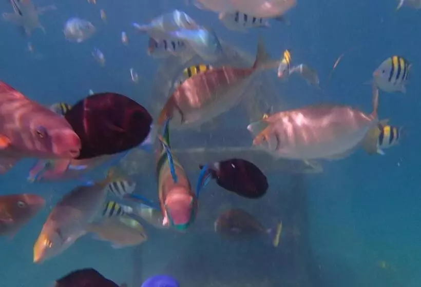 ホテル Silver Fern Beach Retreat