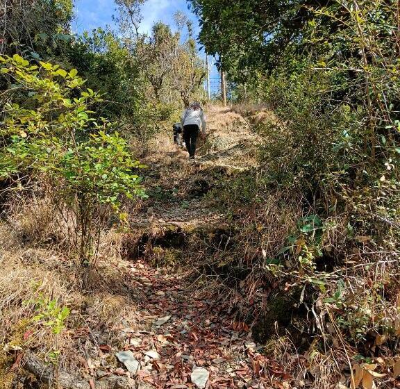 Skywood Resort Shoghi