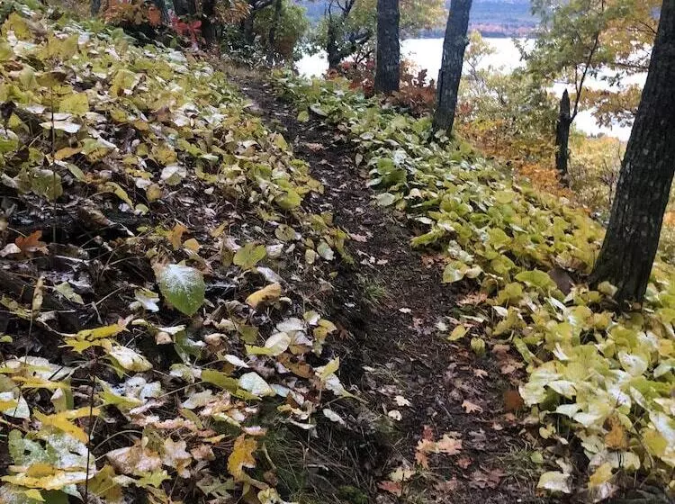 Hotelli Aqua Log Cabins Resort