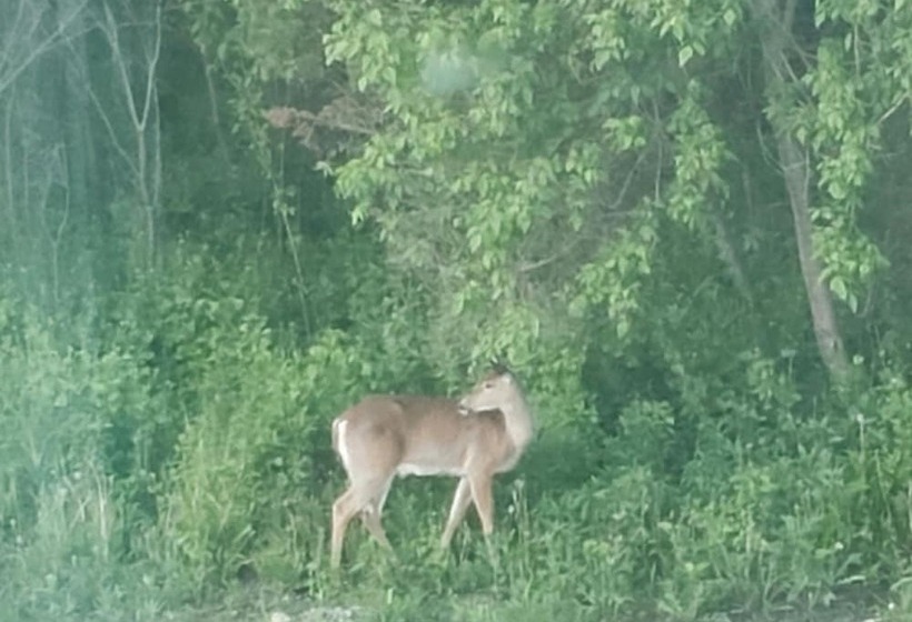 Manor On The Mile Two