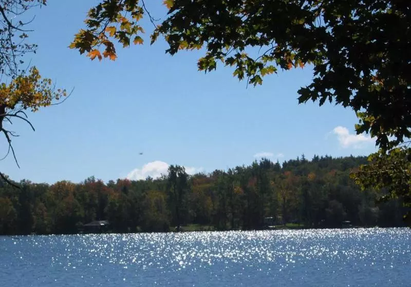 Mariaville Lake Bed And Breakfast