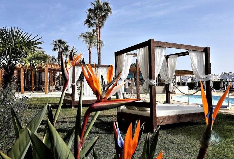 هتل Ap Maria Nova Lounge - Adults Friendly