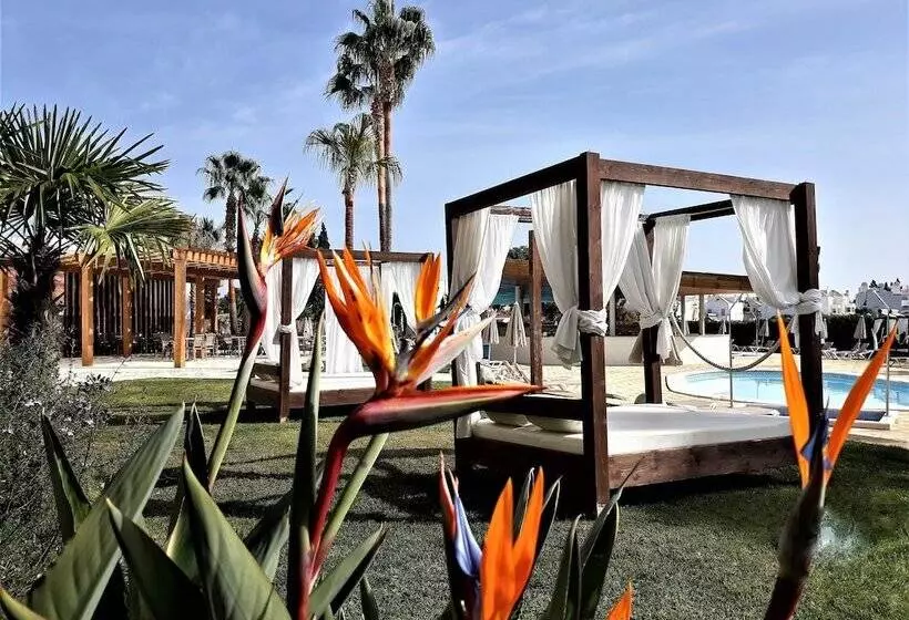 酒店 Ap Maria Nova Lounge - Adults Friendly