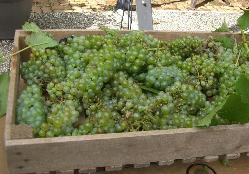 فندق Auberge De Launay