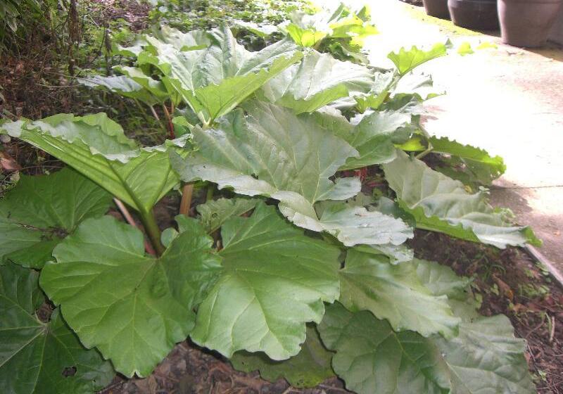 فندق Auberge De Launay