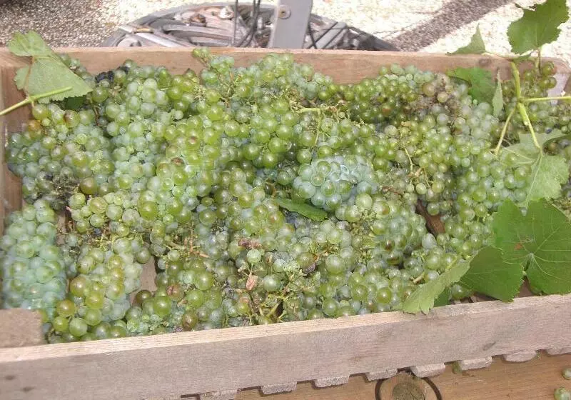 בית מלון כפרי Auberge De Launay