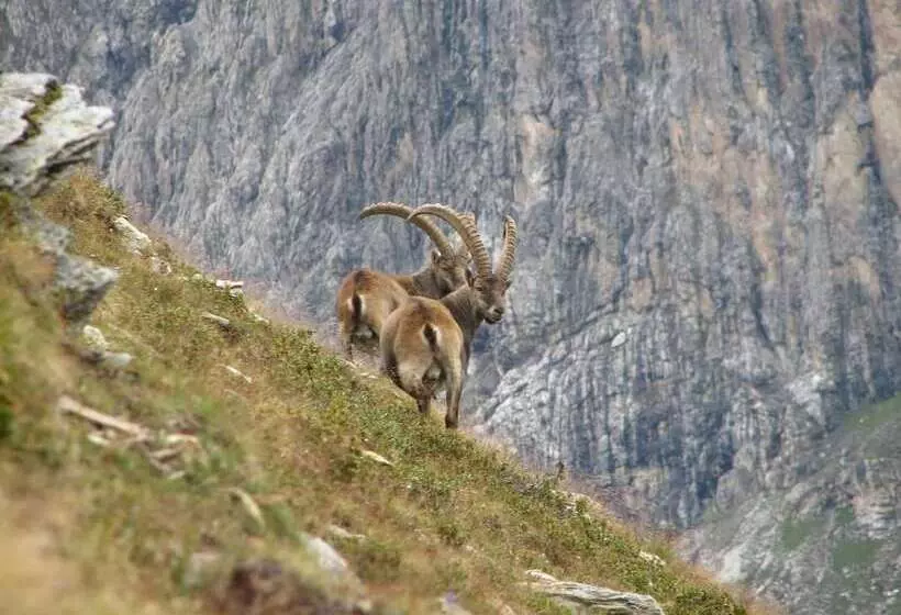 酒店 Baita Fiorita