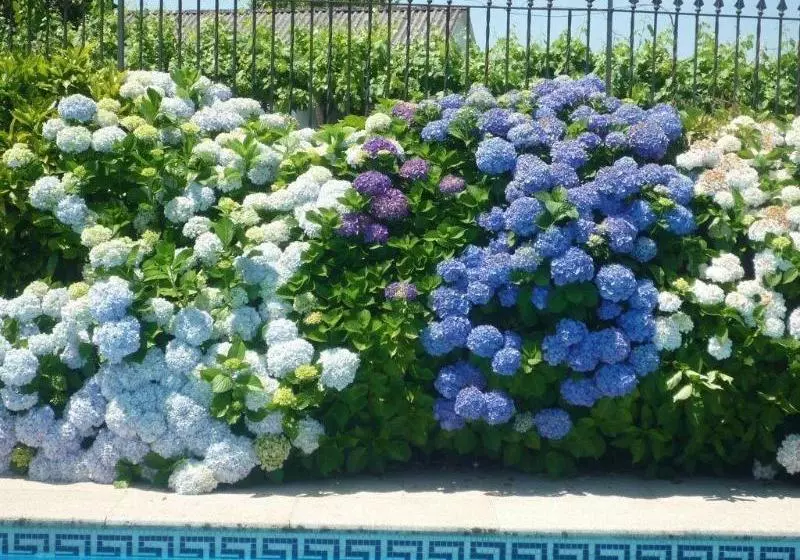 ホテル Casa Das Pias