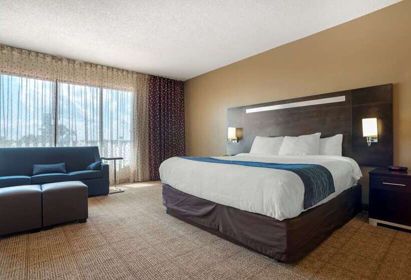 Отель Comfort Inn Greenville I65