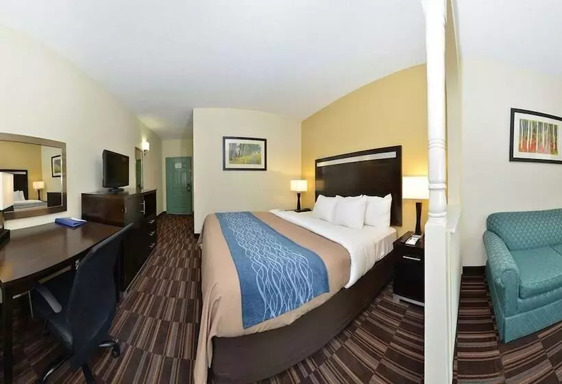 בית מלון כפרי Comfort Inn Greenville I65