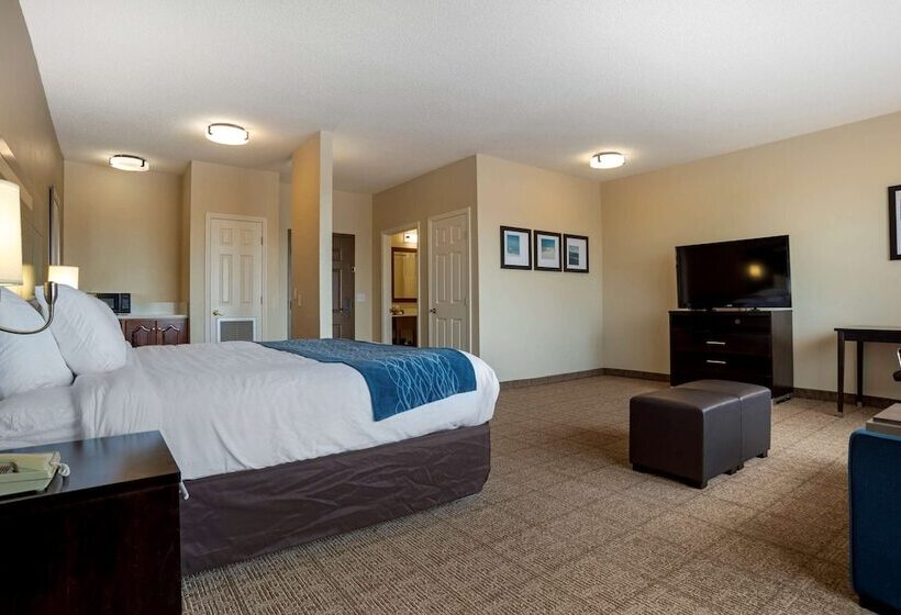 Отель Comfort Inn Greenville I65