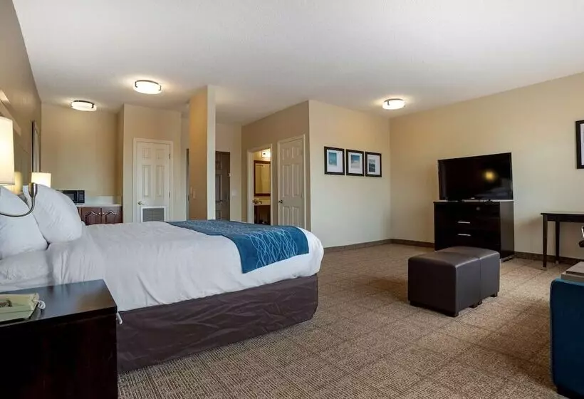 בית מלון כפרי Comfort Inn Greenville I65