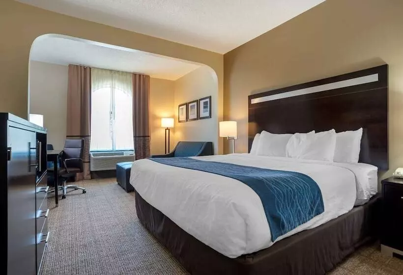 בית מלון כפרי Comfort Inn Greenville I65