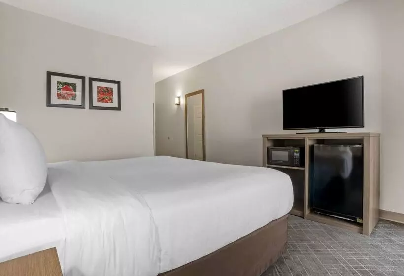 בית מלון כפרי Comfort Inn Greenville I65