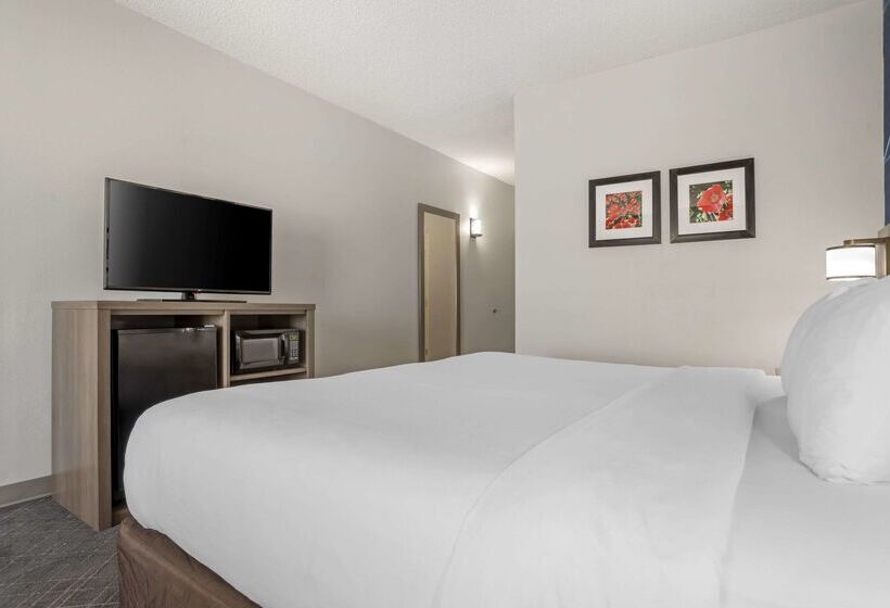 Отель Comfort Inn Greenville I65