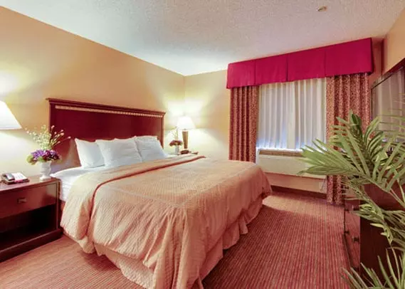 호텔 Spark By Hilton Tucson Airport