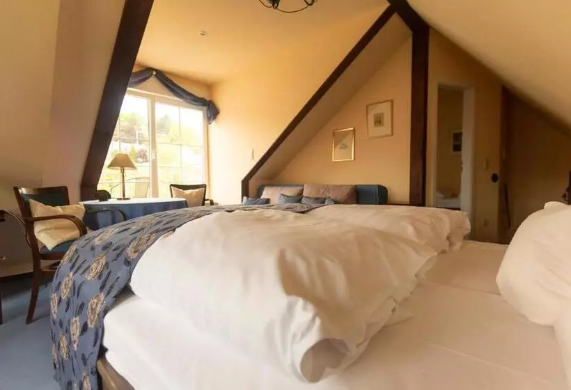 酒店 Ferienresidenz Brauneberger Hof