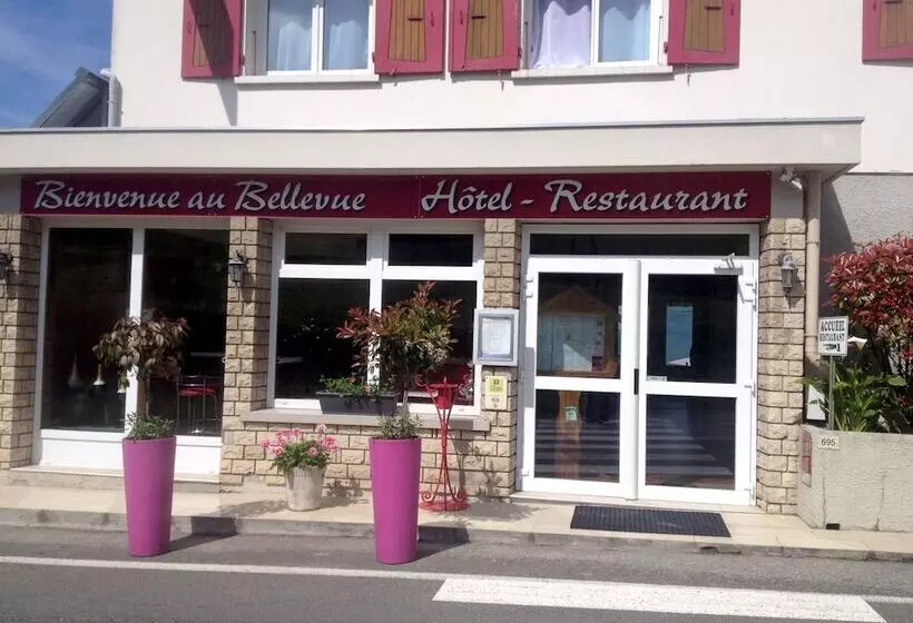 Отель Hôtel Le Bellevue