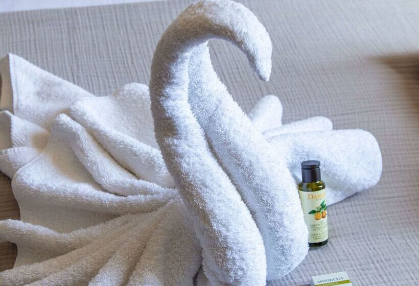 Hotel Hôtel Le Maxime   Best Western Signature Collection