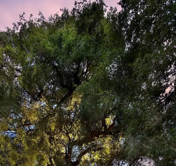 Hotel Lion Sands River Lodge