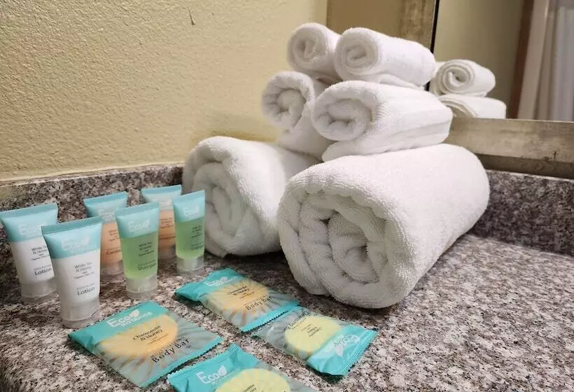 Hotelli Nisqually Lodge