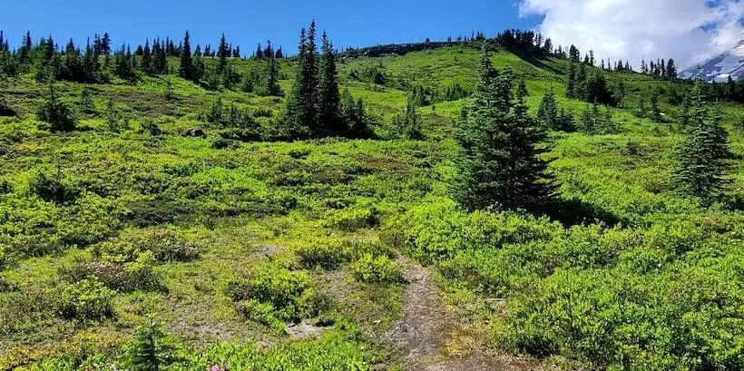 Hotelli Nisqually Lodge