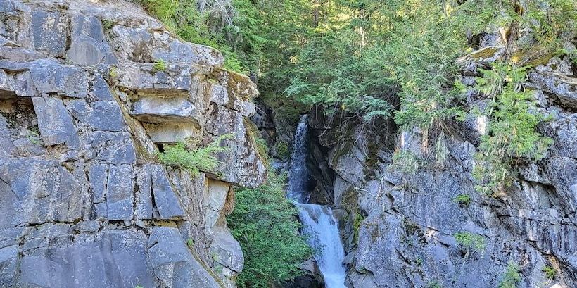 فندق Nisqually Lodge