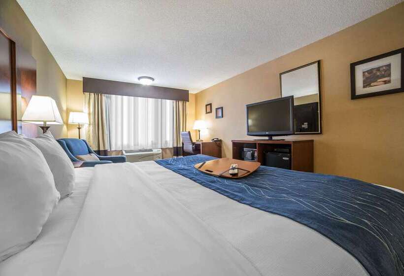 هتل Comfort Inn Grand Junction I70