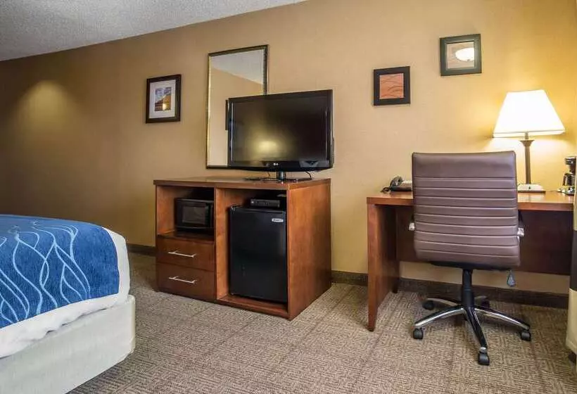 酒店 Comfort Inn Grand Junction I70