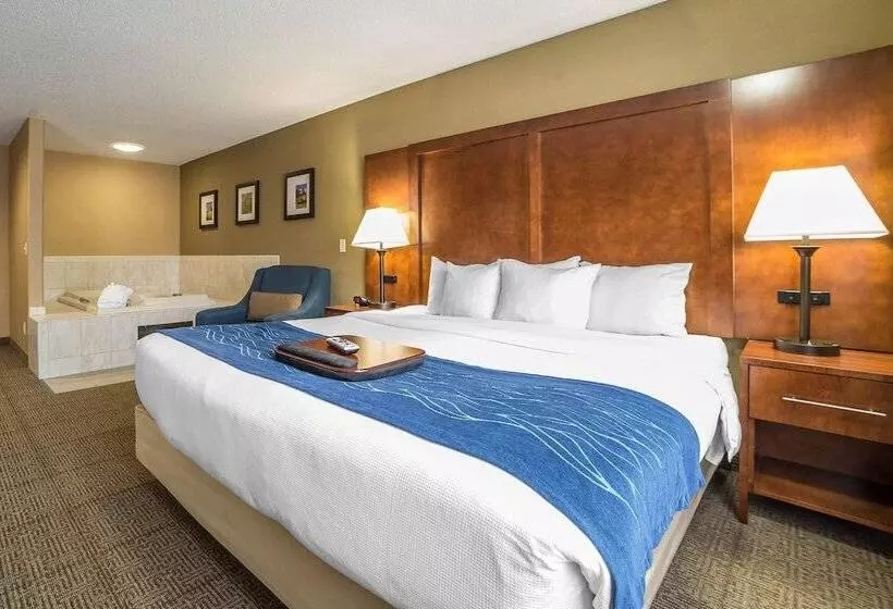 酒店 Comfort Inn Grand Junction I70