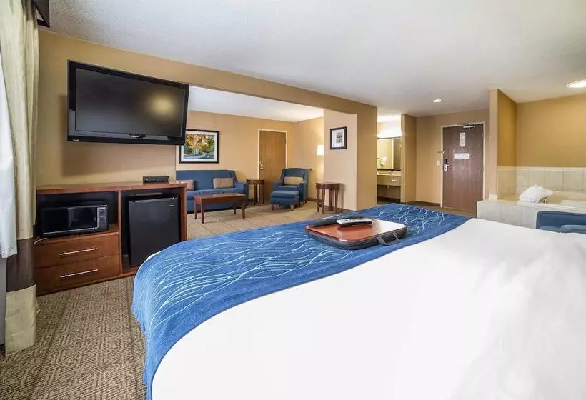 酒店 Comfort Inn Grand Junction I70