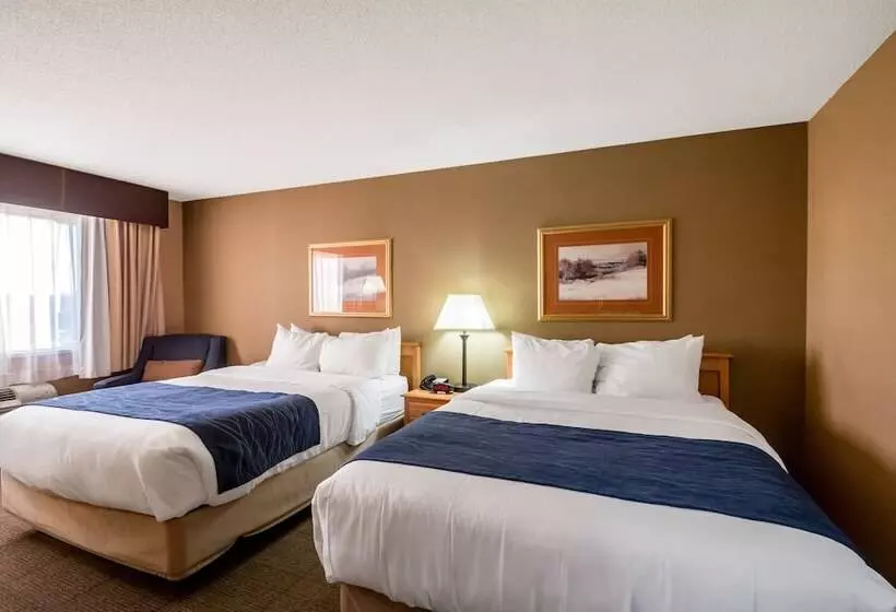 酒店 Comfort Inn Grand Junction I70