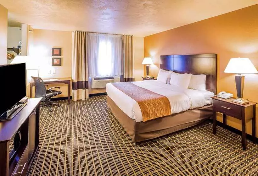 בית מלון כפרי Comfort Inn & Suites Gunnisoncrested Butte