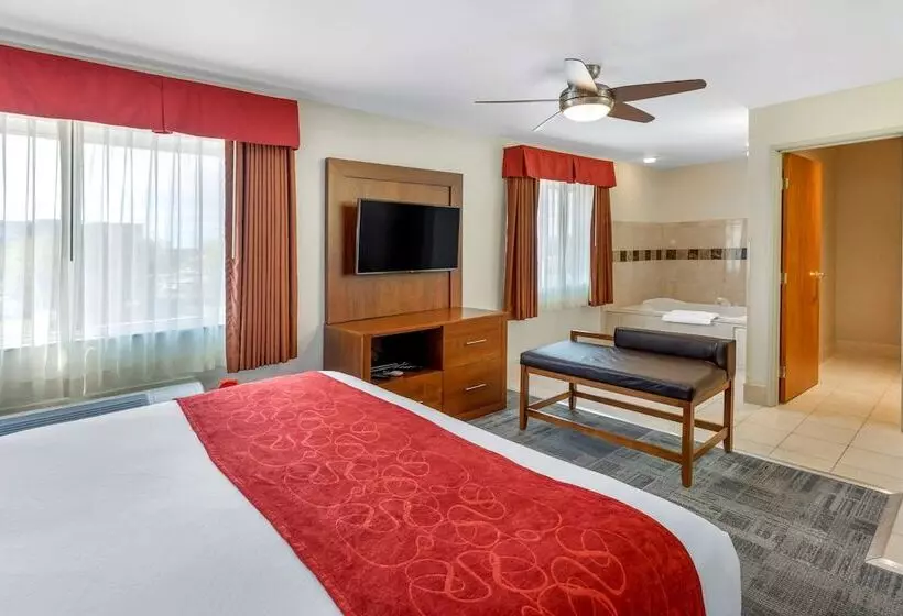 Hotelli Comfort Suites Denver Tech Center