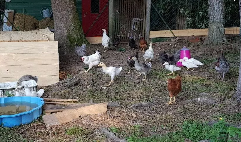 ホテル Le Pavillon