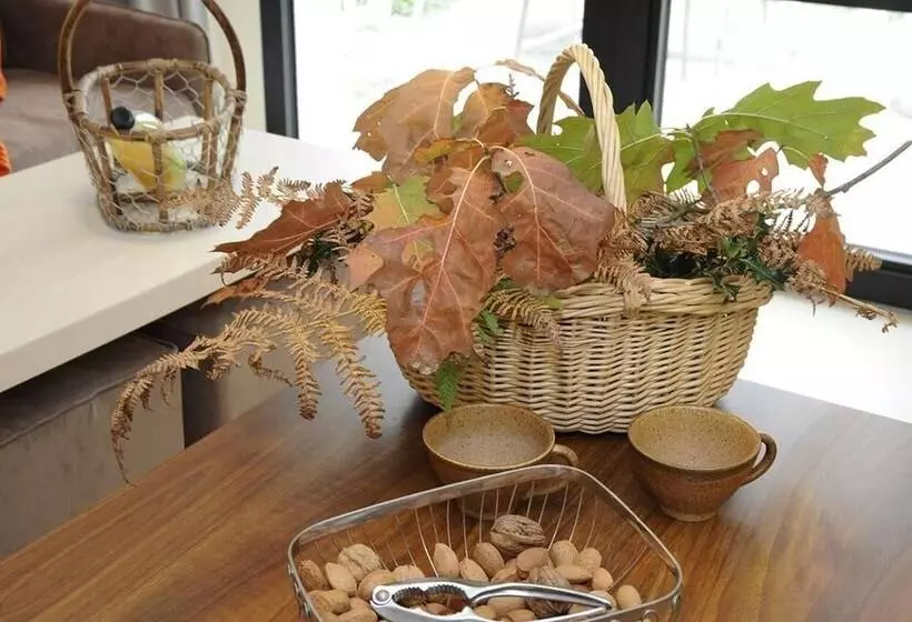 فندق Logis Auberge De La Foret