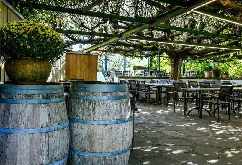 酒店 Logis Hôtel Du Chêne