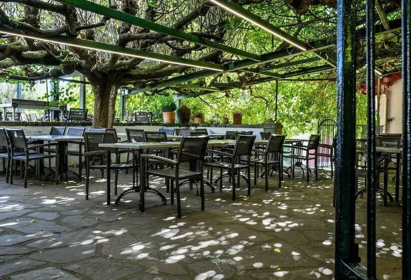 酒店 Logis Hôtel Du Chêne