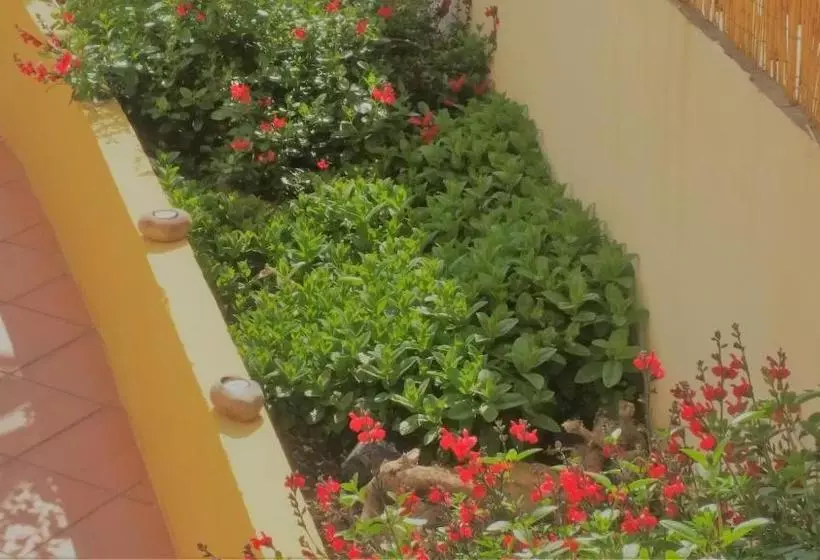 Отель Villa Serena