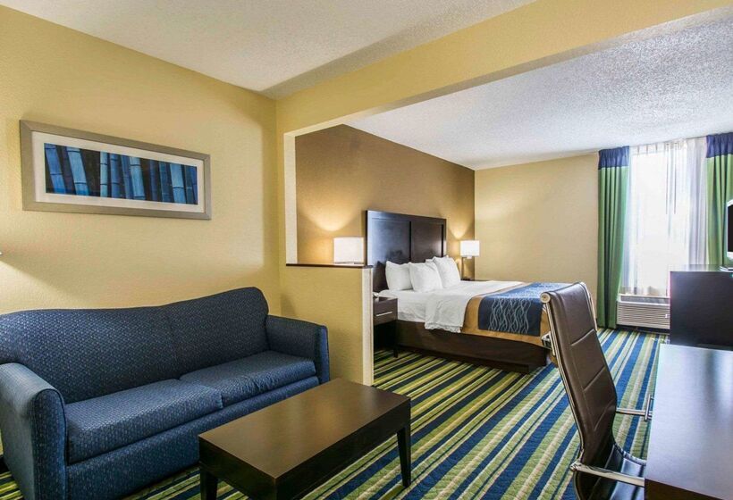 酒店 Comfort Inn & Suites Lantana   West Palm Beach South