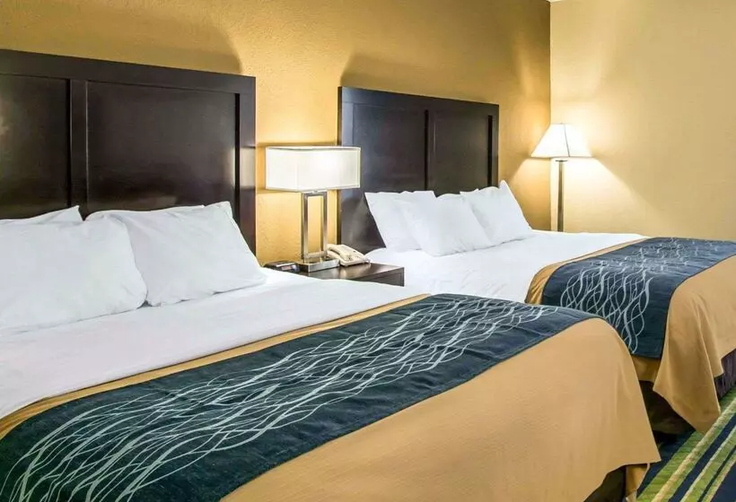 호텔 Comfort Inn & Suites Lantana West Palm Beach South