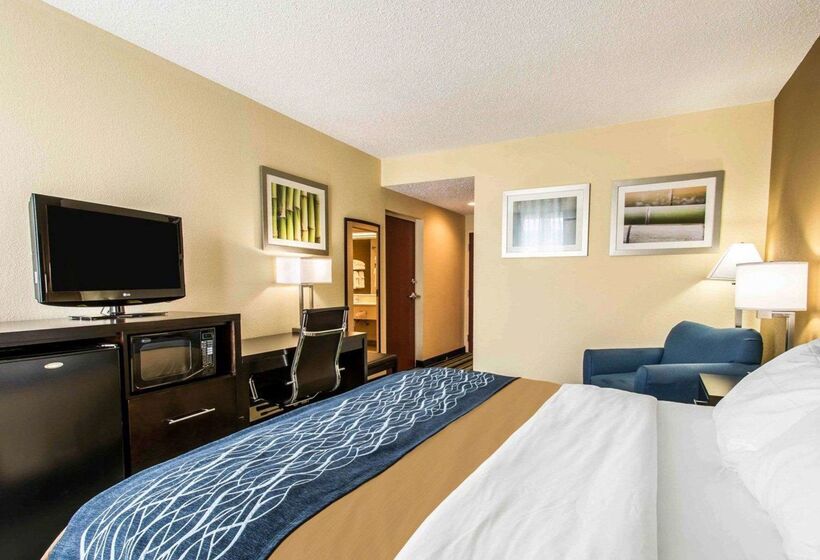 酒店 Comfort Inn & Suites Lantana   West Palm Beach South