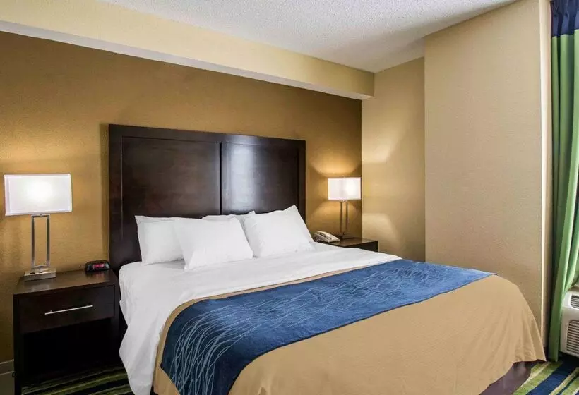 호텔 Comfort Inn & Suites Lantana West Palm Beach South