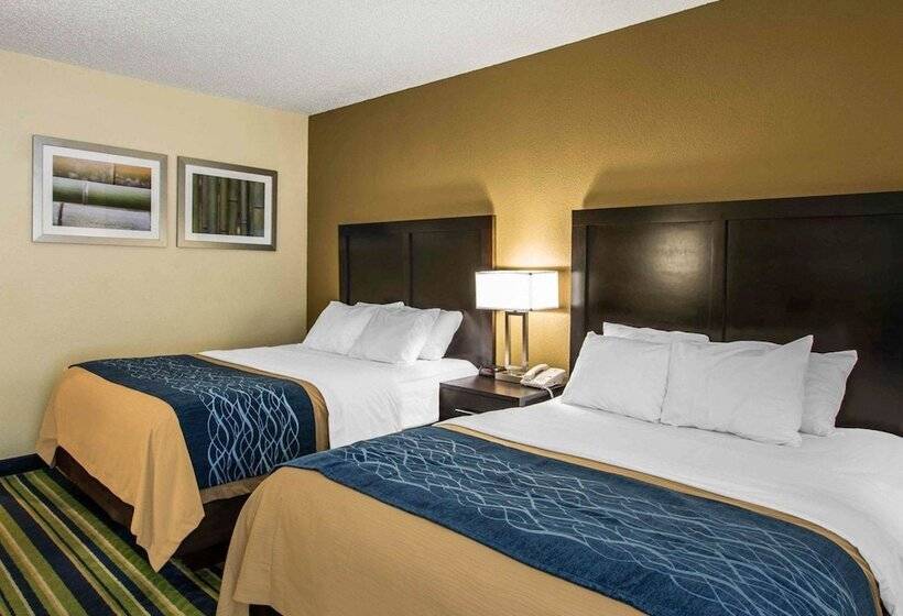 酒店 Comfort Inn & Suites Lantana   West Palm Beach South