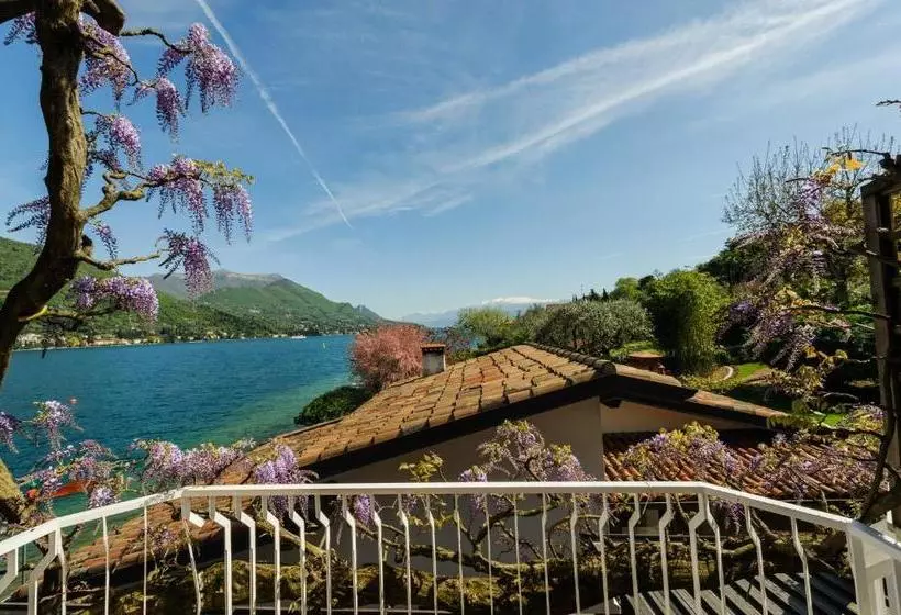 Отель Garden Zorzi