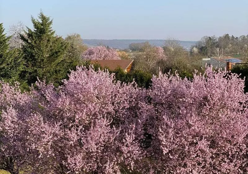 Отель Kyriad Nuits Saint Georges