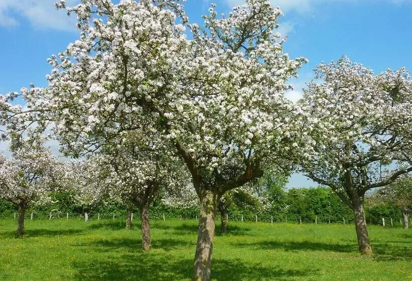 Отель Le Vauban