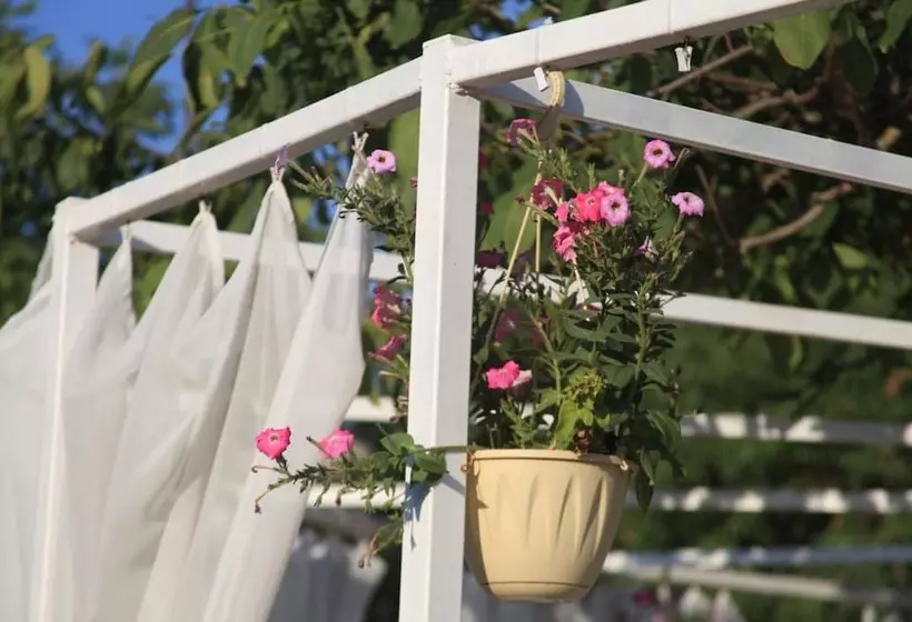 تختخواب و صبحانه Villapetra