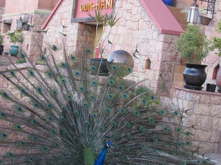 فندق Kasba Oum Hani